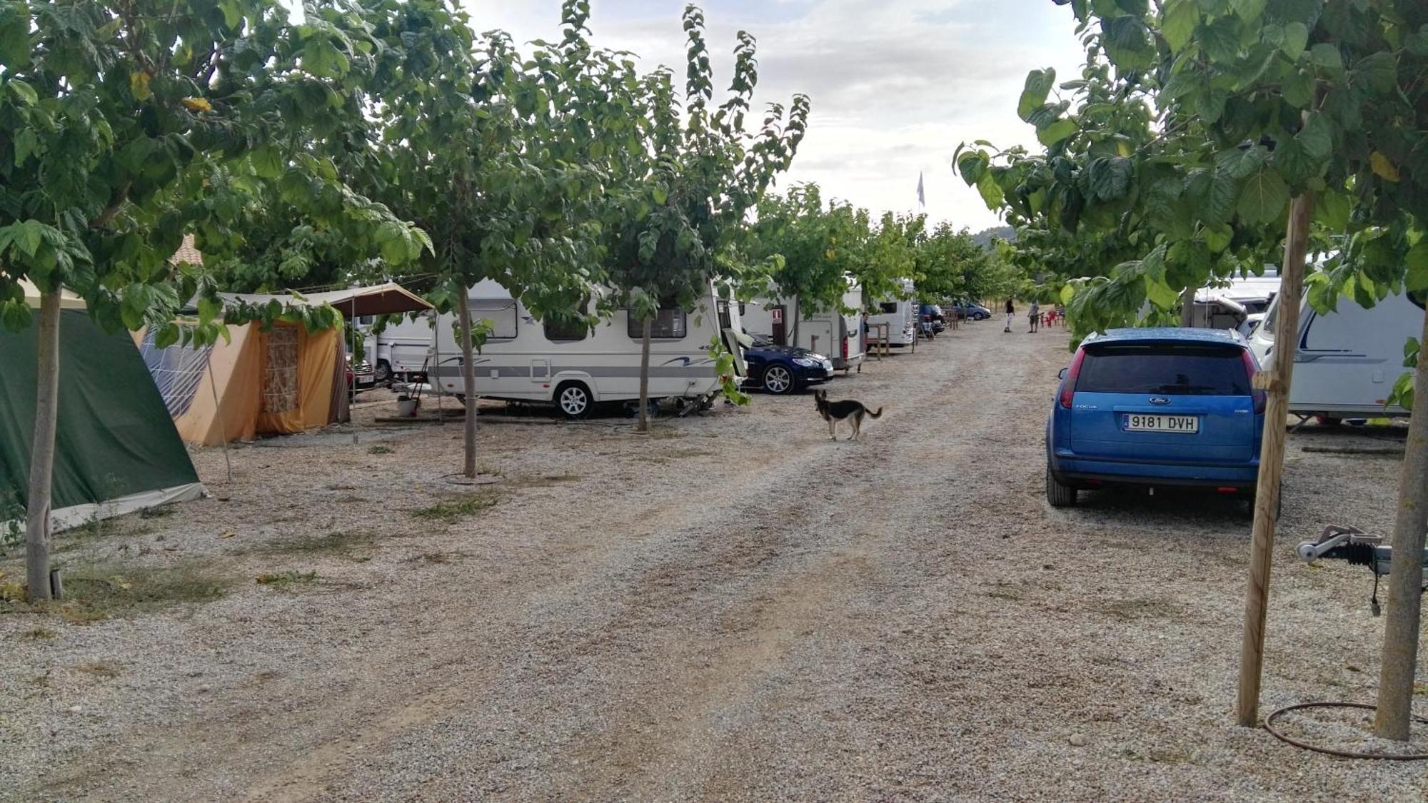 Camping El Roble Valderrobres Chambre photo